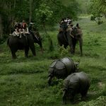 Chitwan National Park
